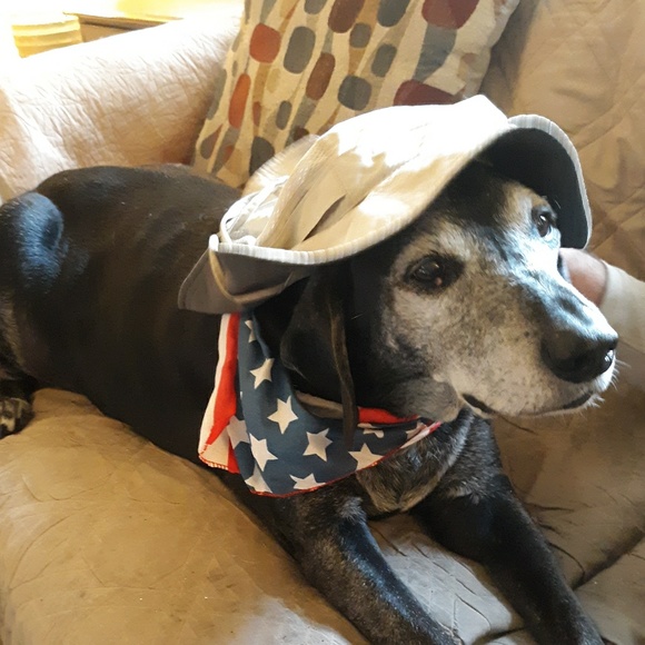 Meet your Posher, Desiree - Picture 1 of 1